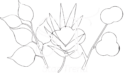 startrend.store