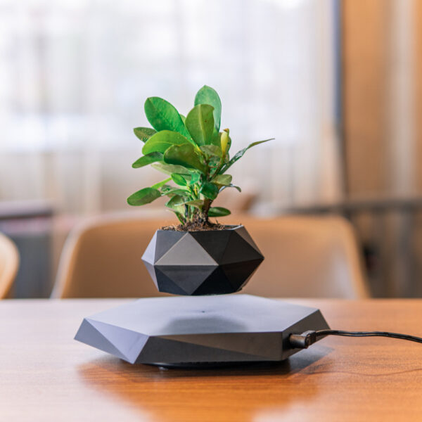 Floating Magnetic Levitating Flower Pot Bonsai Air Plant Pot Planter Potted For Home Office Desk Decor Creative Gift - Image 5