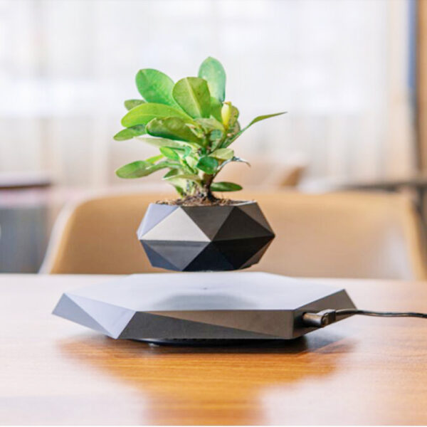 Floating Magnetic Levitating Flower Pot Bonsai Air Plant Pot Planter Potted For Home Office Desk Decor Creative Gift - Image 6